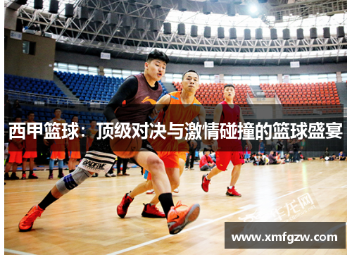 西甲篮球：顶级对决与激情碰撞的篮球盛宴