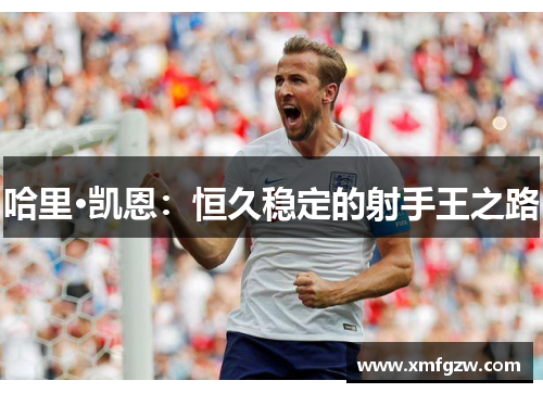 哈里·凯恩：恒久稳定的射手王之路